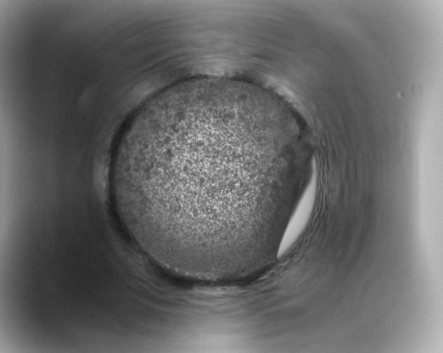X0000088420679200706051212