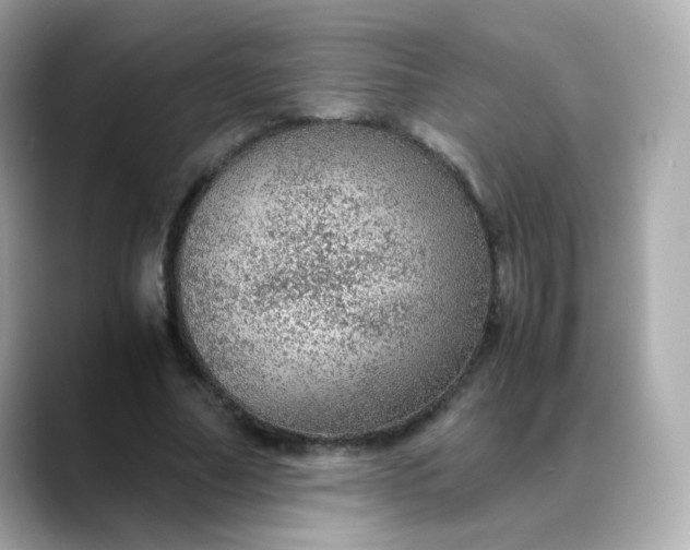 X0000088420682200706051212
