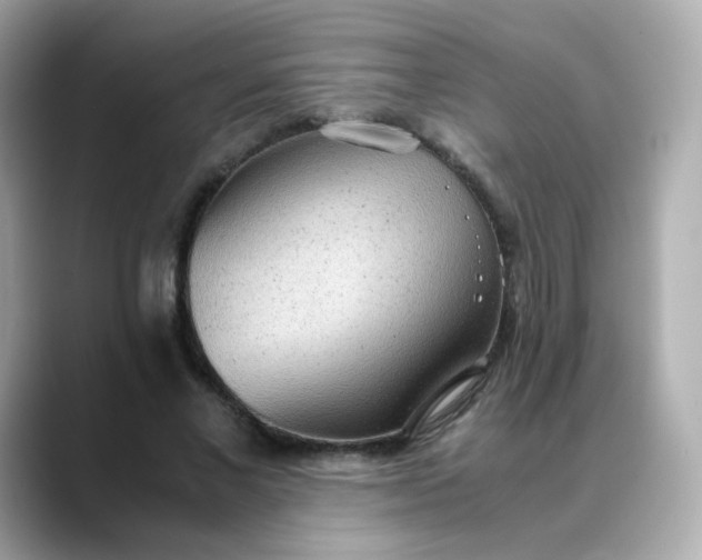 X0000088420685200706051212