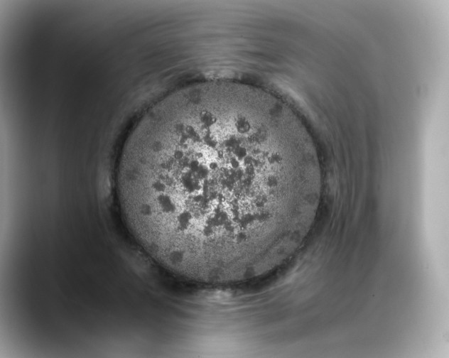 X0000088420687200706051212
