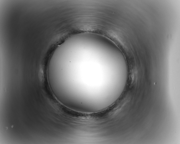 X0000088420688200706051212