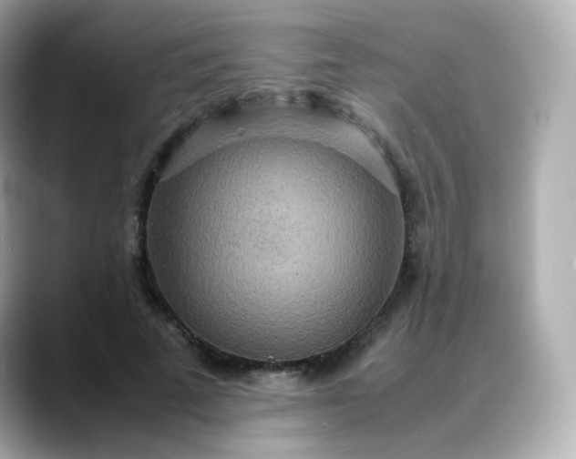 X0000088420689200706051212