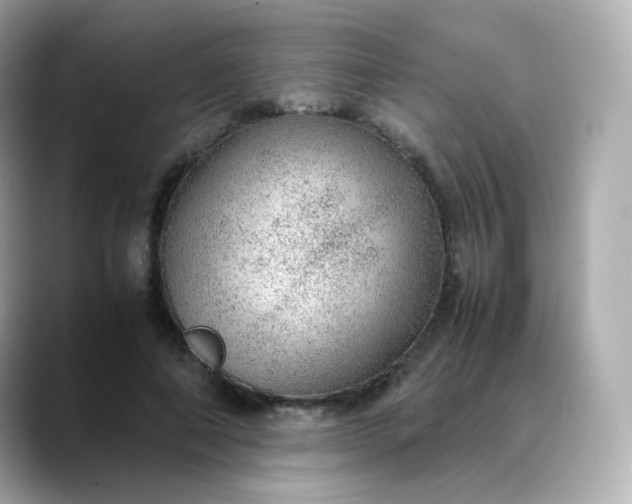 X0000088420690200706051212