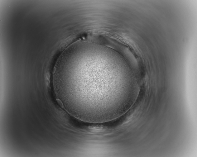 X0000088420693200706051212
