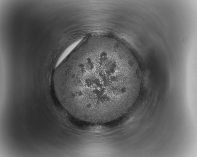 X0000088420695200706051212