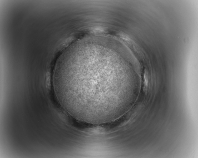 X0000088420696200706051212