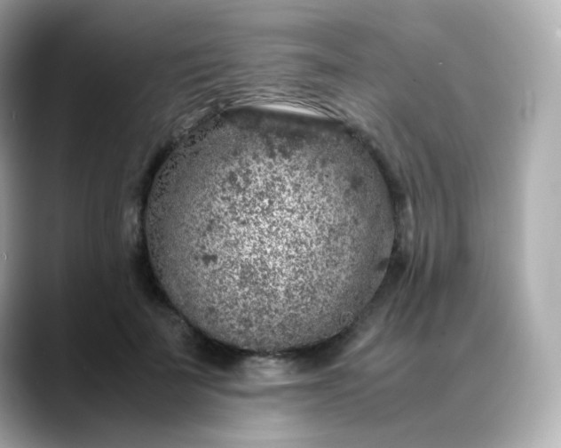 X0000088420699200706051212