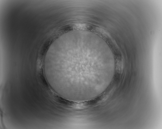 X0000088420701200706051212