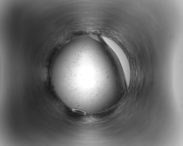 X0000088420704200706051212