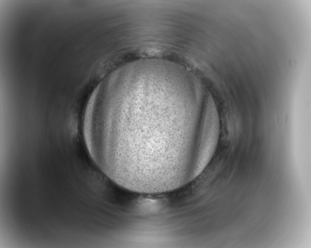X0000088420706200706051212