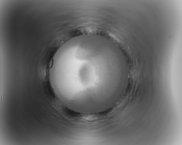 X0000088420709200706051212
