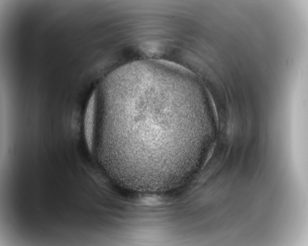 X0000088420710200706051212