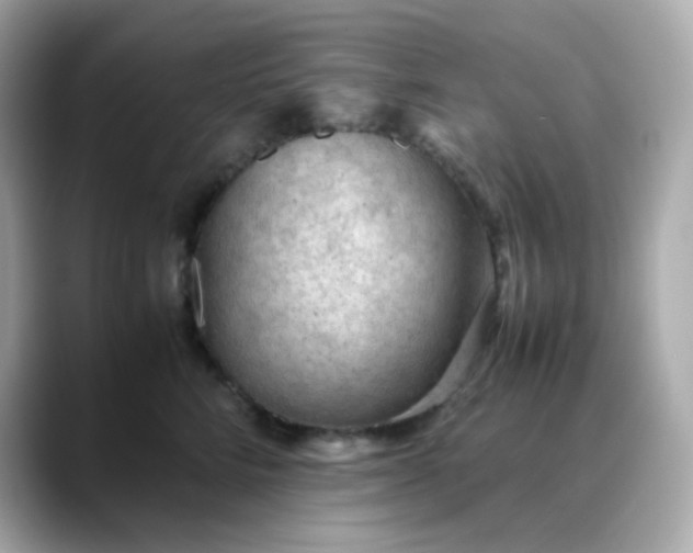 X0000088420712200706051212