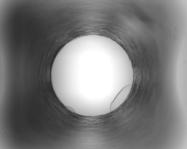 X0000088420713200706051211