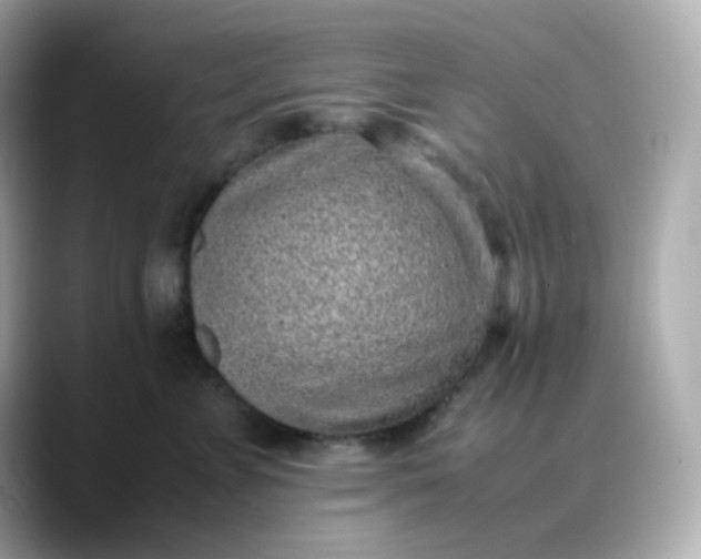 X0000088420715200706051211