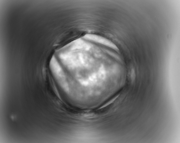X0000088420716200706051211