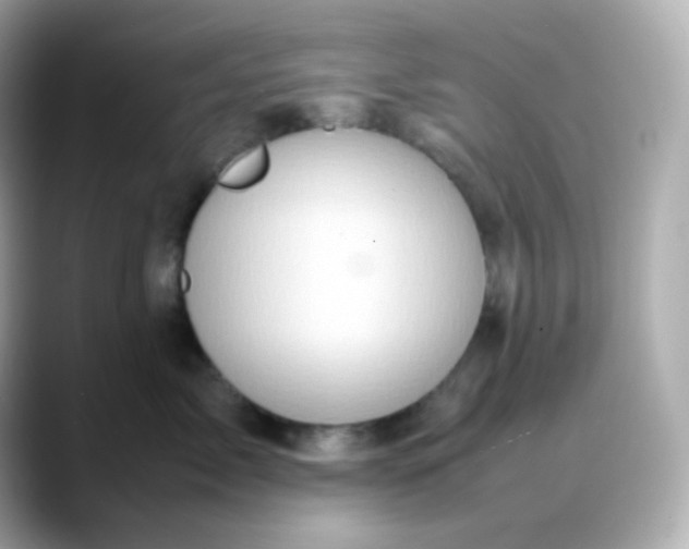 X0000088420717200706051211