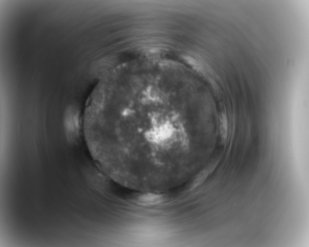X0000088420718200706051211