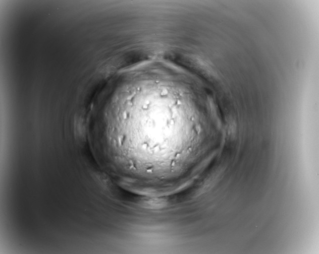 X0000088420719200706051211