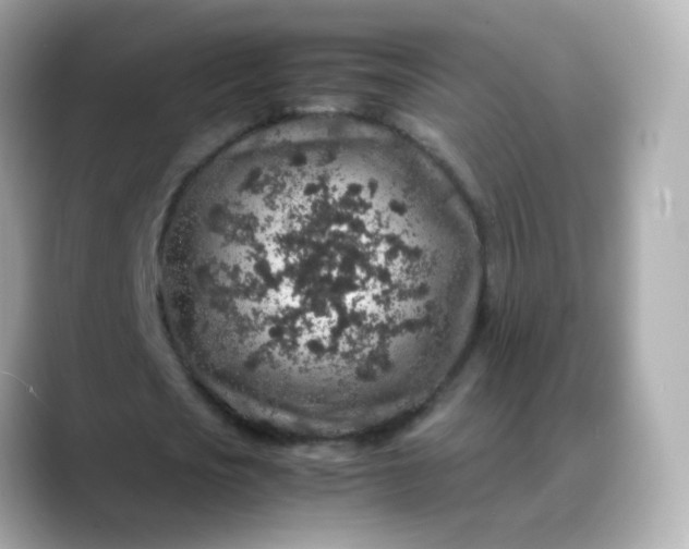 X0000088420721200706051211
