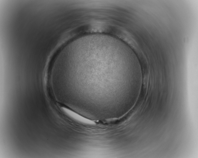 X0000088420722200706051211