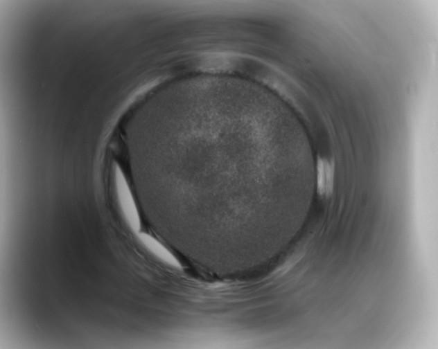 X0000088420723200706051211