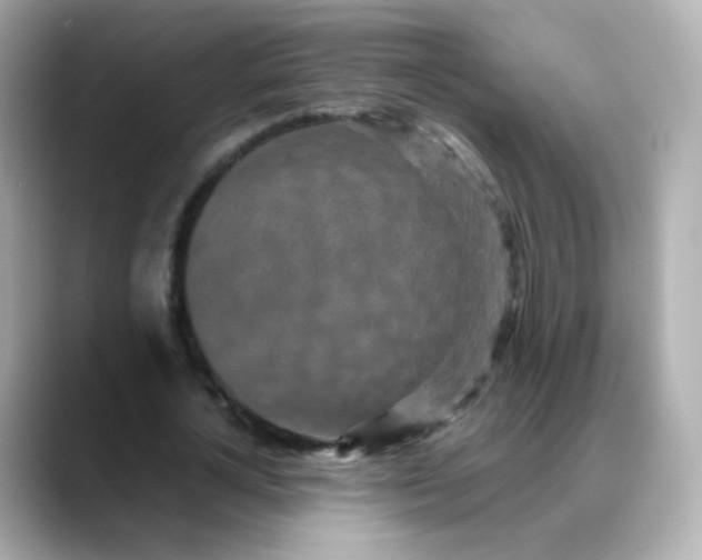 X0000088420724200706051211