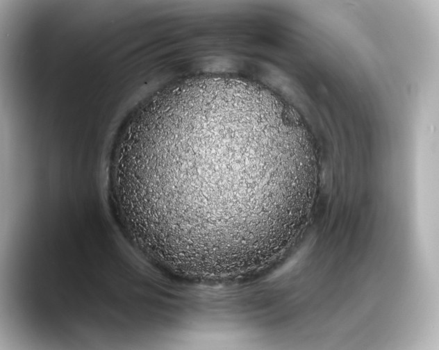 X0000088420725200706051211