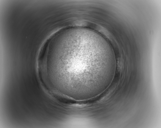 X0000088420726200706051211