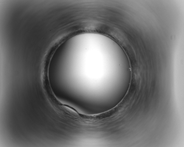 X0000088420728200706051211
