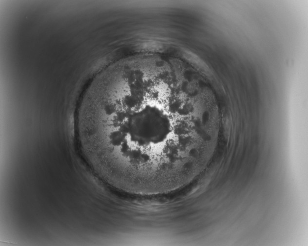 X0000088420729200706051211
