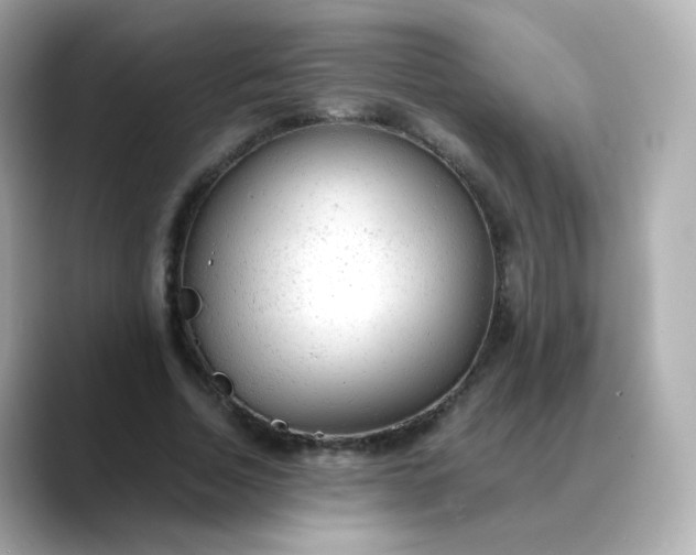 X0000088420730200706051211