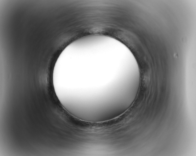 X0000088420732200706051211