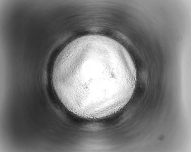 X0000088420734200706051211