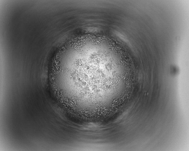 X0000088420737200706051211