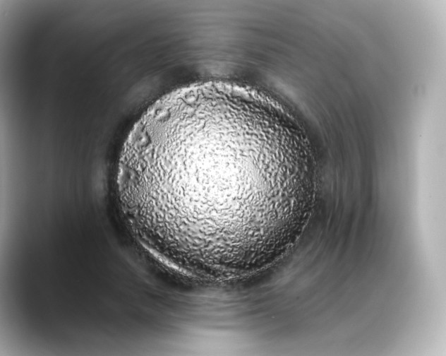 X0000088420738200706051211