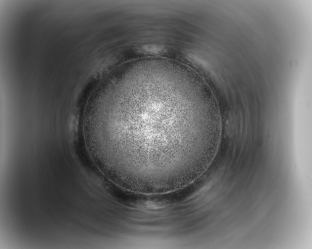 X0000088420739200706051211