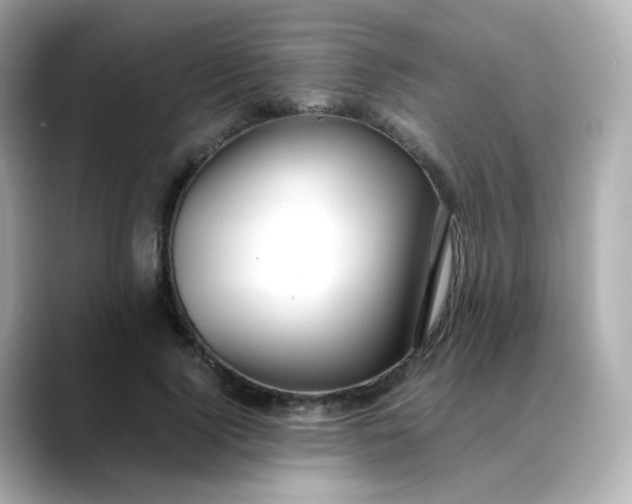 X0000088420740200706051211