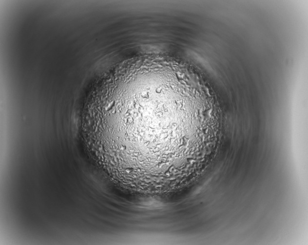 X0000088420741200706051211