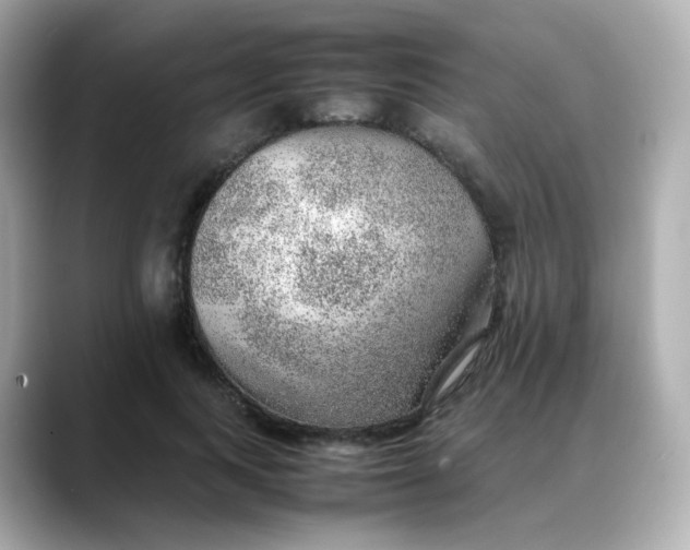 X0000088420743200706051211