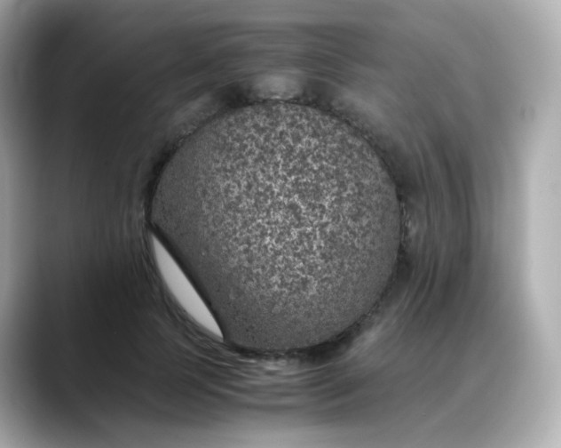 X0000088420745200706051211