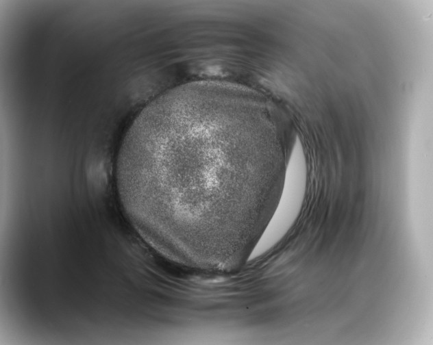 X0000088420747200706051211