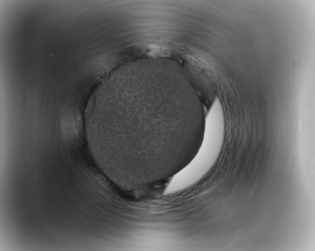 X0000088420748200706051211