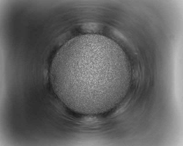 X0000088420749200706051211