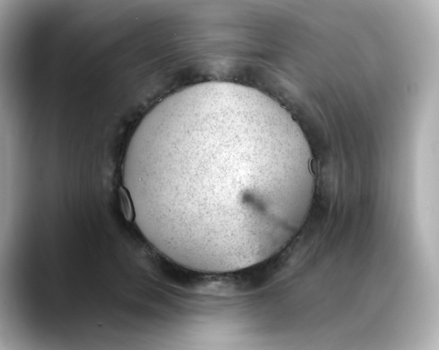 X0000088420750200706051211