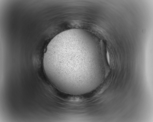 X0000088420751200706051211