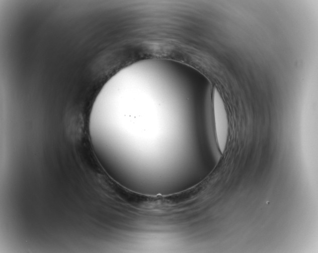 X0000088420752200706051211