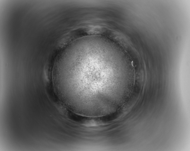 X0000088420755200706051211