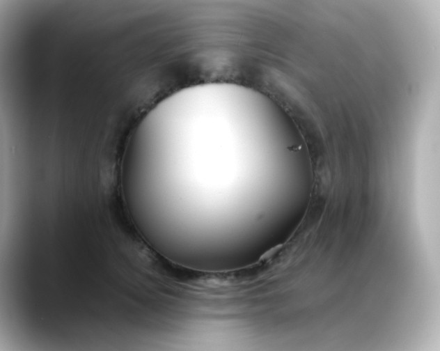 X0000088420756200706051211