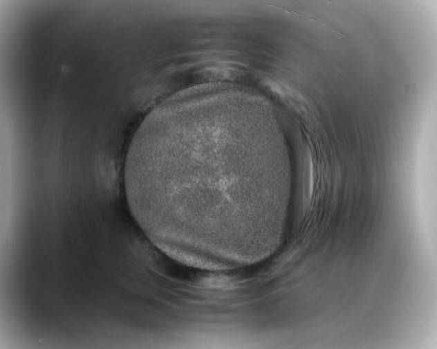 X0000088420759200706051211